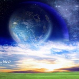 Meet your Posher, Quinn